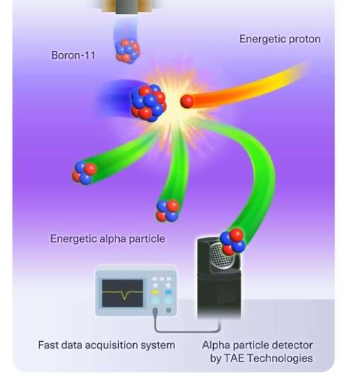 First measurements of hydrogen-boron fusion in a magnetically confined fusion plasma