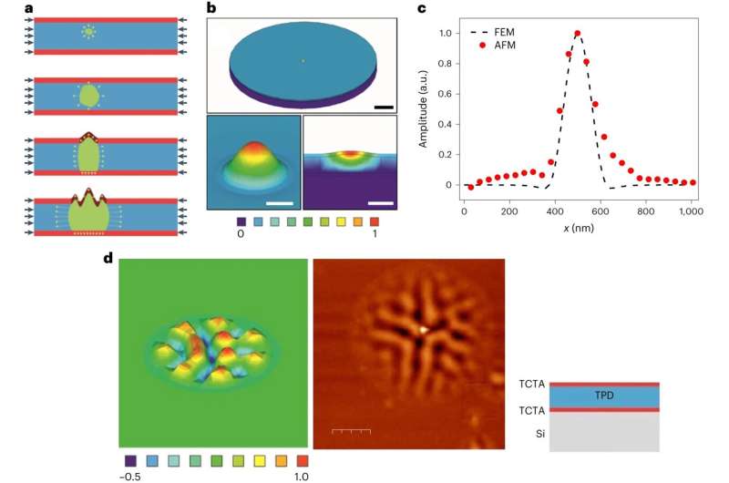 First nanoscale direct observation of how glass transforms into liquid at increasing temperature