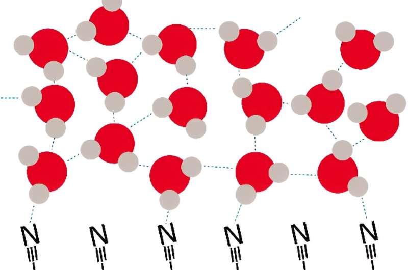 First observation of how water molecules move near a metal electrode