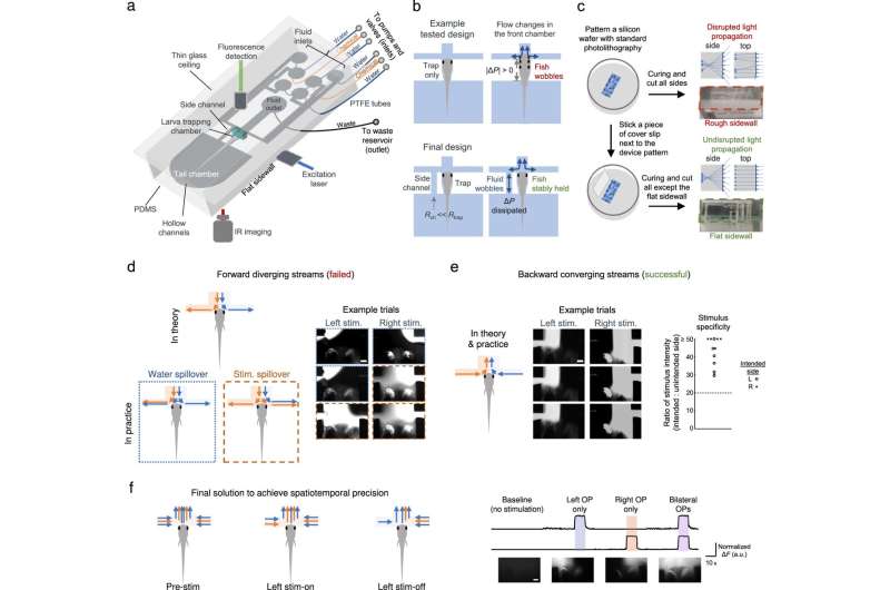 Fish-on-Chips: An optofluidic platform to investigate the neural and chemosensory axes of zebrafish