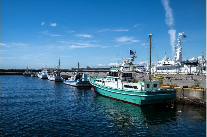 Fishing boats moored at Onahama port in Iwaki city. Japan's government will decide on Tuesday about the release of treated water