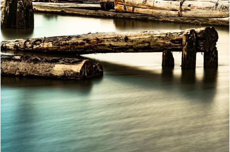 How stray logs in Puget Sound flip industrial shorelines inexperienced