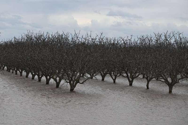 Flooded Central Valley farmland along the Tule River in Tulare County during a winter storm near Corcoran, California on March 2
