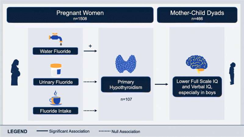 Fluoride exposure associated with hypothyroidism in pregnancy, study finds