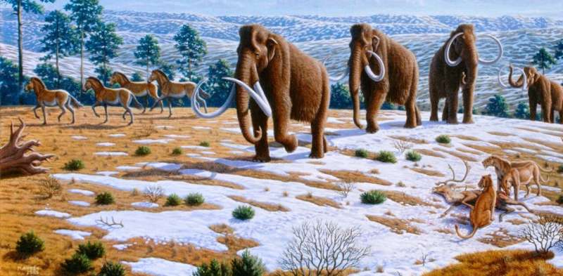 Forensic evidence suggests Paleo-Americans hunted mastodons, mammoths and other megafauna in eastern North America 13,000 years 