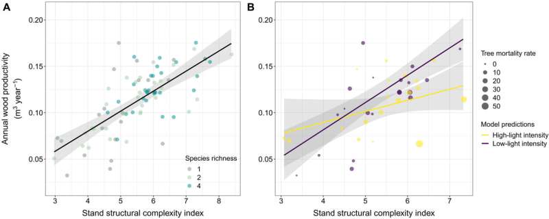 Forest biodiversity: Mixed forests are more productive when they are structurally complex