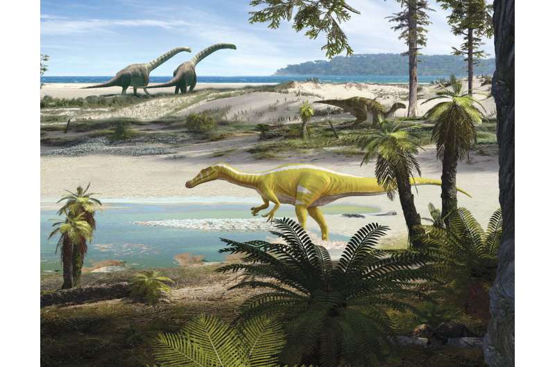 Fossil fragments shed light on a new spinosaurid dinosaur found in Spain