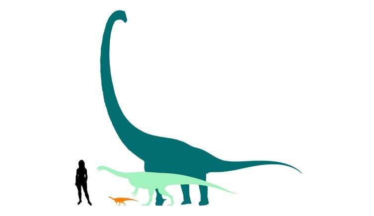 Fossil reveals smallest sauropodomorph dinosaur from the Jurassic