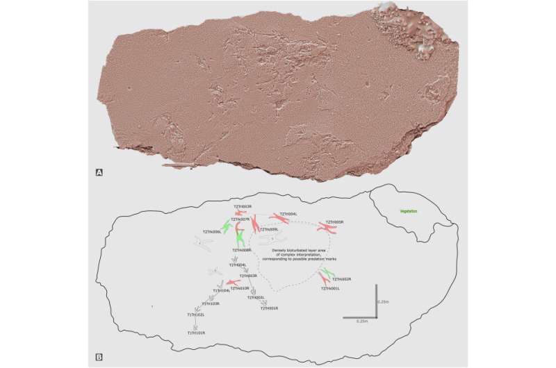 Fossil trackways reveal the first raptor-prey attack in Pleistocene Europe