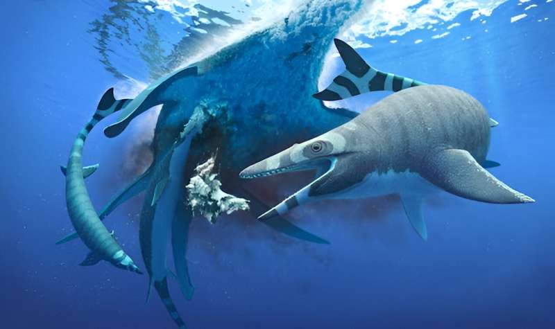 Fossils in Morocco reveal the astounding diversity of marine life 66 million years ago, just before the asteroid hit