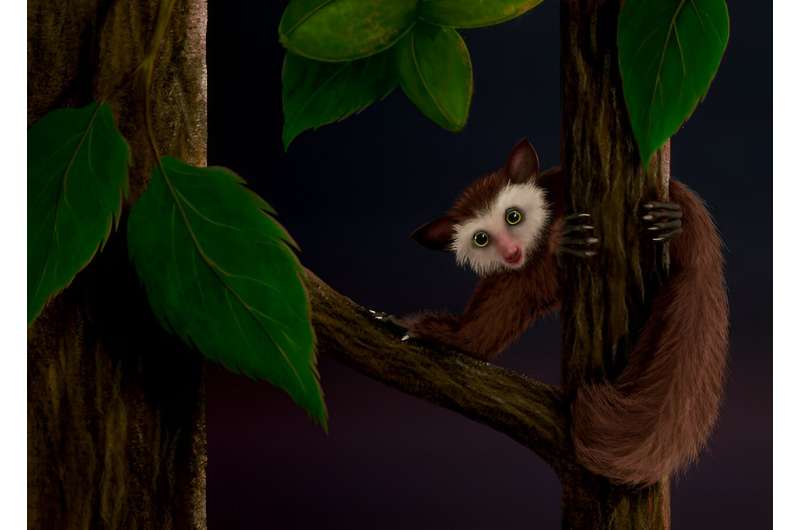 Fossils tell tale of last primate to inhabit North America before humans
