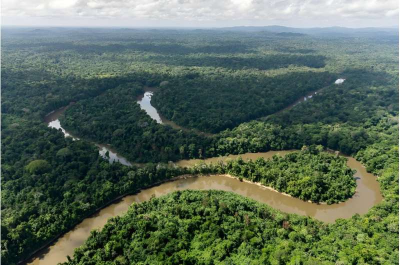 French Guiana has 96 percent rainforest coverage