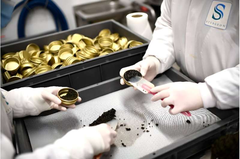 French producers are hoping the certificate of origin will help them compete against huge quantities of cheap Chinese caviar