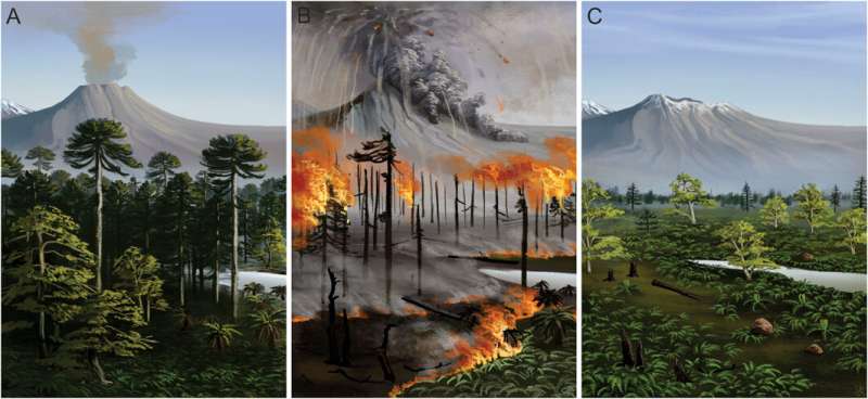 Frequent fires struck Antarctica during the age of dinosaurs, 75 million years ago