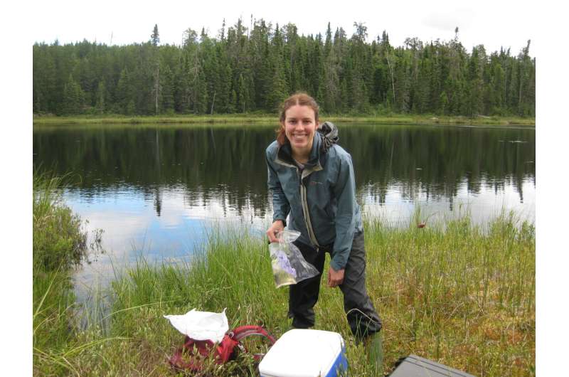 Freshwater connectivity can transport environmental DNA through the landscape