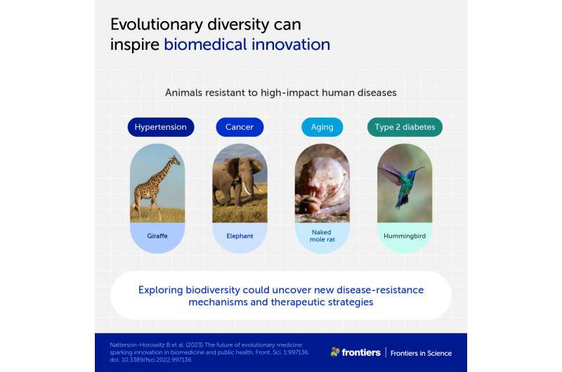 از ضد آنتی بیوتیک ها تا درمان انقراض: چگونه تفکر تکاملی می تواند پزشکی را متحول کند