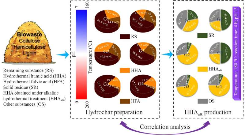 From waste to wealth: Transforming biomass into humic acid with two-step hydrothermal process via hydrochar