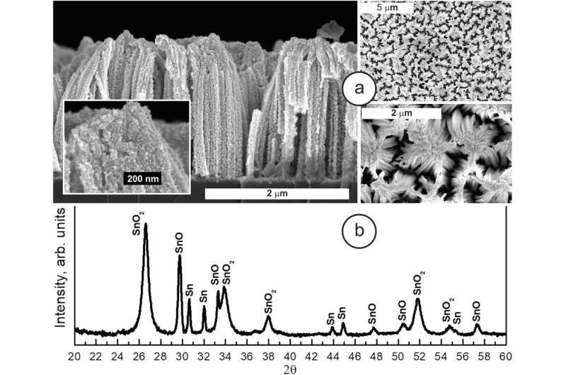 Functional surface refinement: Targeted control of growth dynamics of finest tin layers