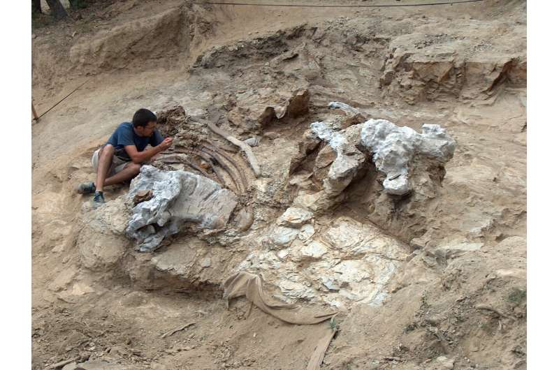 Garumbatitian: A new giant dinosaur in the Lower Cretacic of the Iberian Peninsula