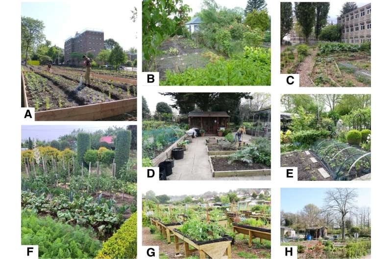 Gauging the environmental impact of urban farms and gardens