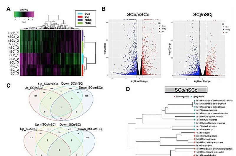 Gene expression signatures of human senescent corneal and conjunctival epithelial cells