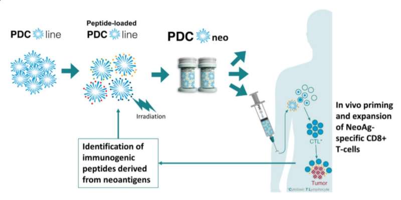 Genes &amp; Cancer | Leveraging allogeneic dendritic cells for neoantigen cancer vaccines