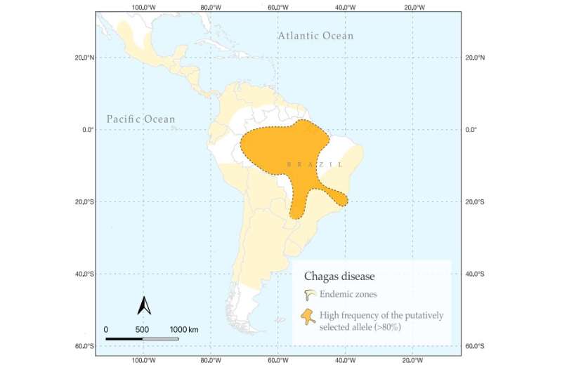 遗传适应帮助亚马逊种群抵抗南美锥虫感染