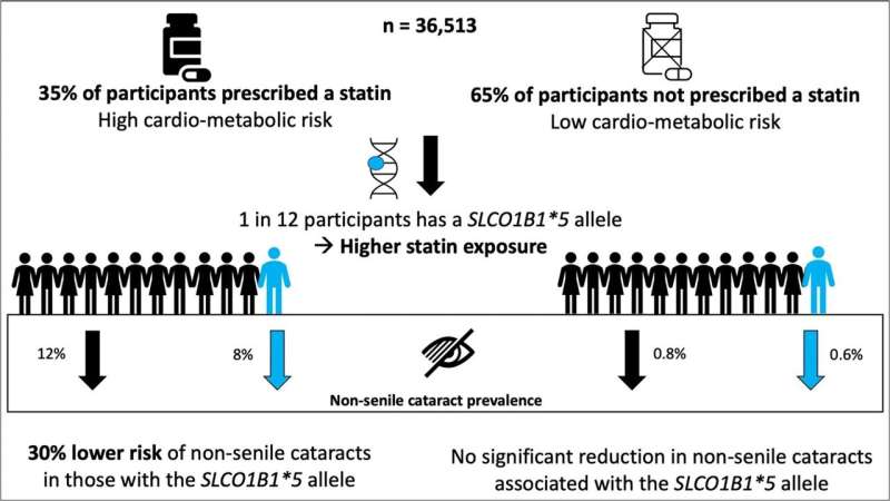 Genetic study of British south Asians challenges previous work linking statin use to increased cataract risk