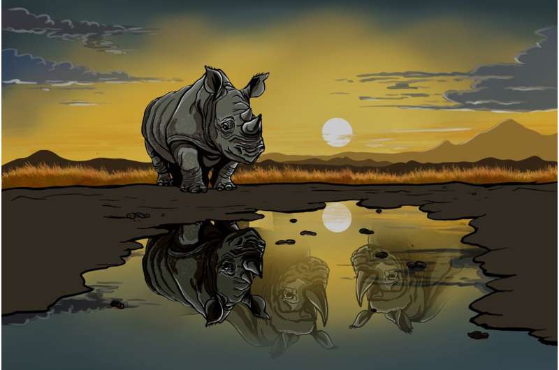 Genomic Insights into the Past and Future of the Black Rhinoceros