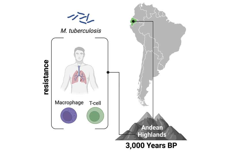 Genomic study reveals signs of tuberculosis adaptation in ancient Andeans | NSF