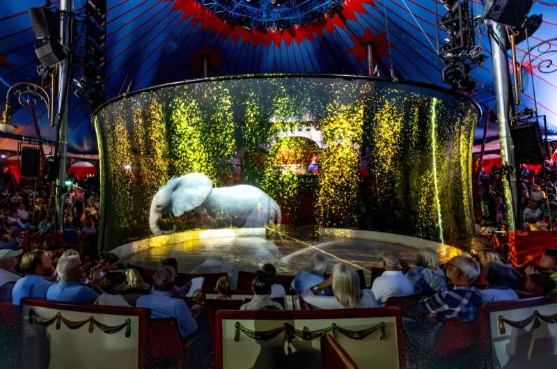 Germany's Roncalli circus removed animals from its programme in 2018 for animal welfare reasons