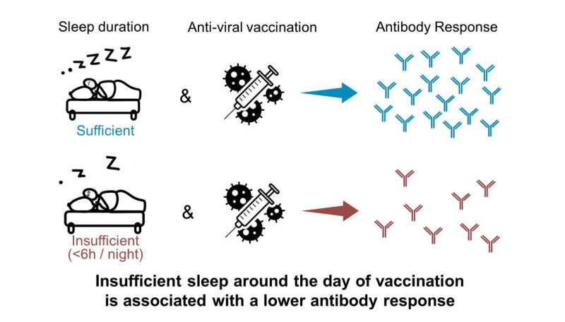 Getting a good night's sleep could boost your response to vaccination