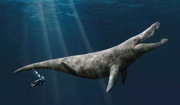 Giants of the Jurassic seas were twice the size of a killer whale