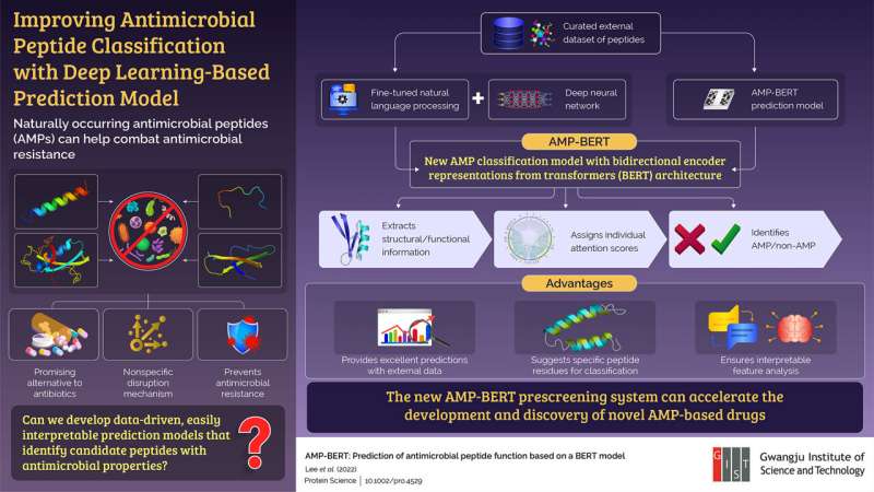 GIST researchers develop “AMP-BERT”: A new AI-based “finder” of antimicrobial peptides