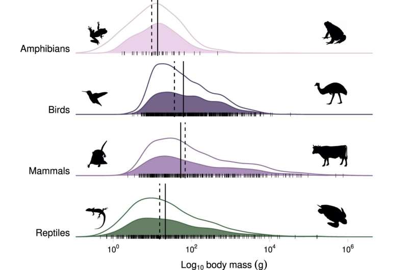 Global assessment of free ranging cats shows they eat more types of creatures than previously thought