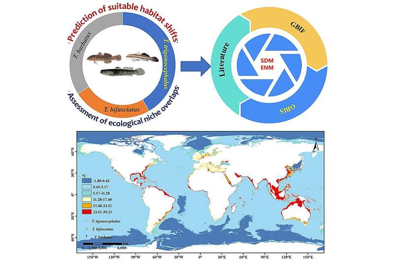 Global climate change drives fish fitness zones in typical marine habitats