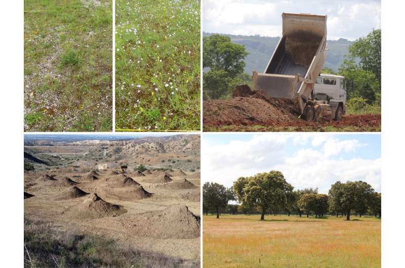 Global comparison shows: Soil transplantation boosts nature restoration