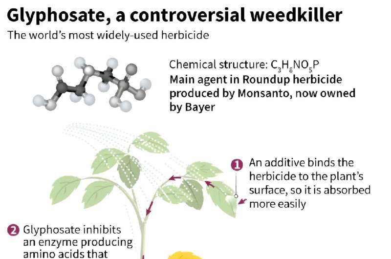 Glyphosate: a controversial weedkiller