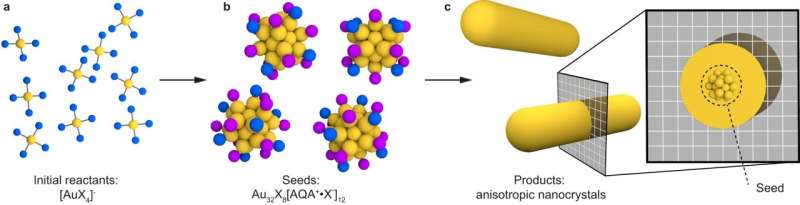 Gold buckyballs, oft-used nanoparticle 'seeds' are one and the same
