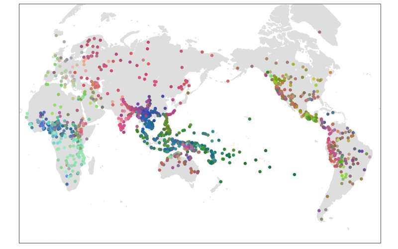 Grambank shows the diversity of the world's languages