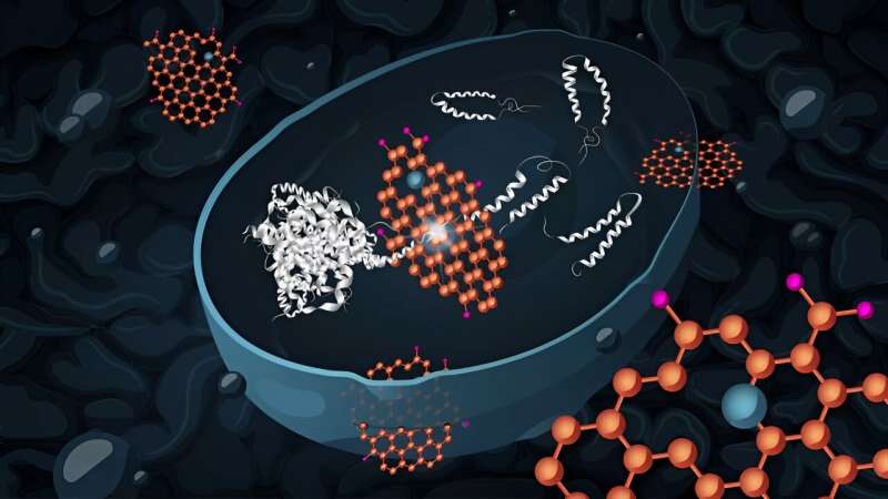Graphene oxide reduces the toxicity of Alzheimer’s proteins