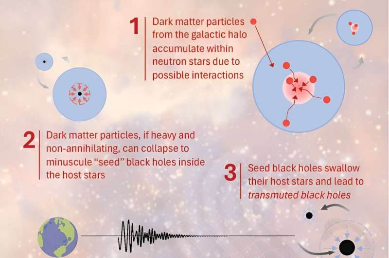 Gravitational wave detectors as probes of dark matter