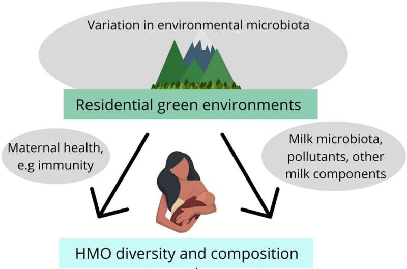 Green environments in residential areas impact the composition of sugar molecules in breastmilk