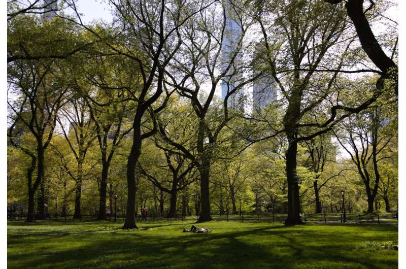 Green spaces can save lives, according to urban big data