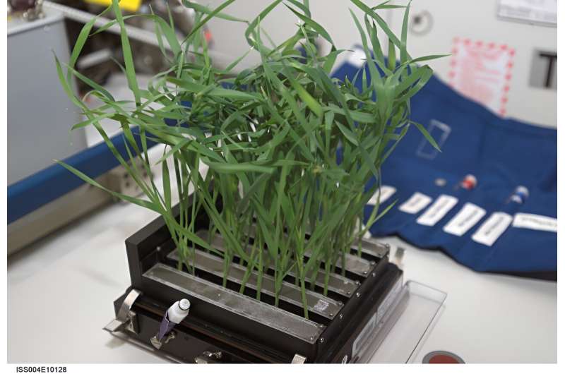 Growing plants in space