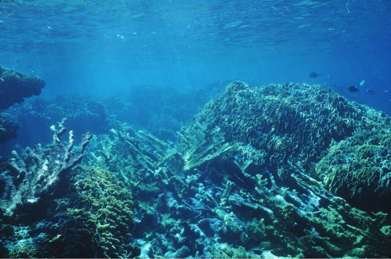Growth of coral reefs likely cannot keep pace with rising sea level