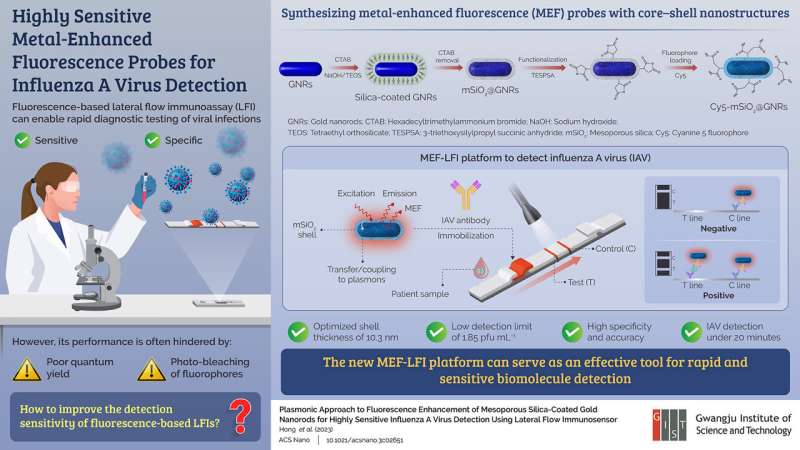 Gwangju Institute of Science and Technology researchers develop metal-enhanced fluorescence probes for influenza a virus detection