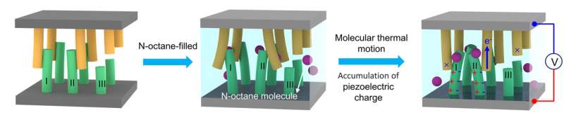 Harnessing molecular power: electricity generation on the nanoscale