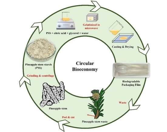 Harnessing the potential of pineapple stem starch film as a biodegradable packaging material