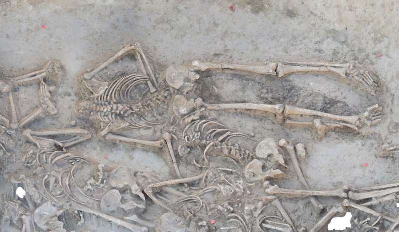 Headless skeletons in a settlement trench: A 7,000-year-old mass grave?